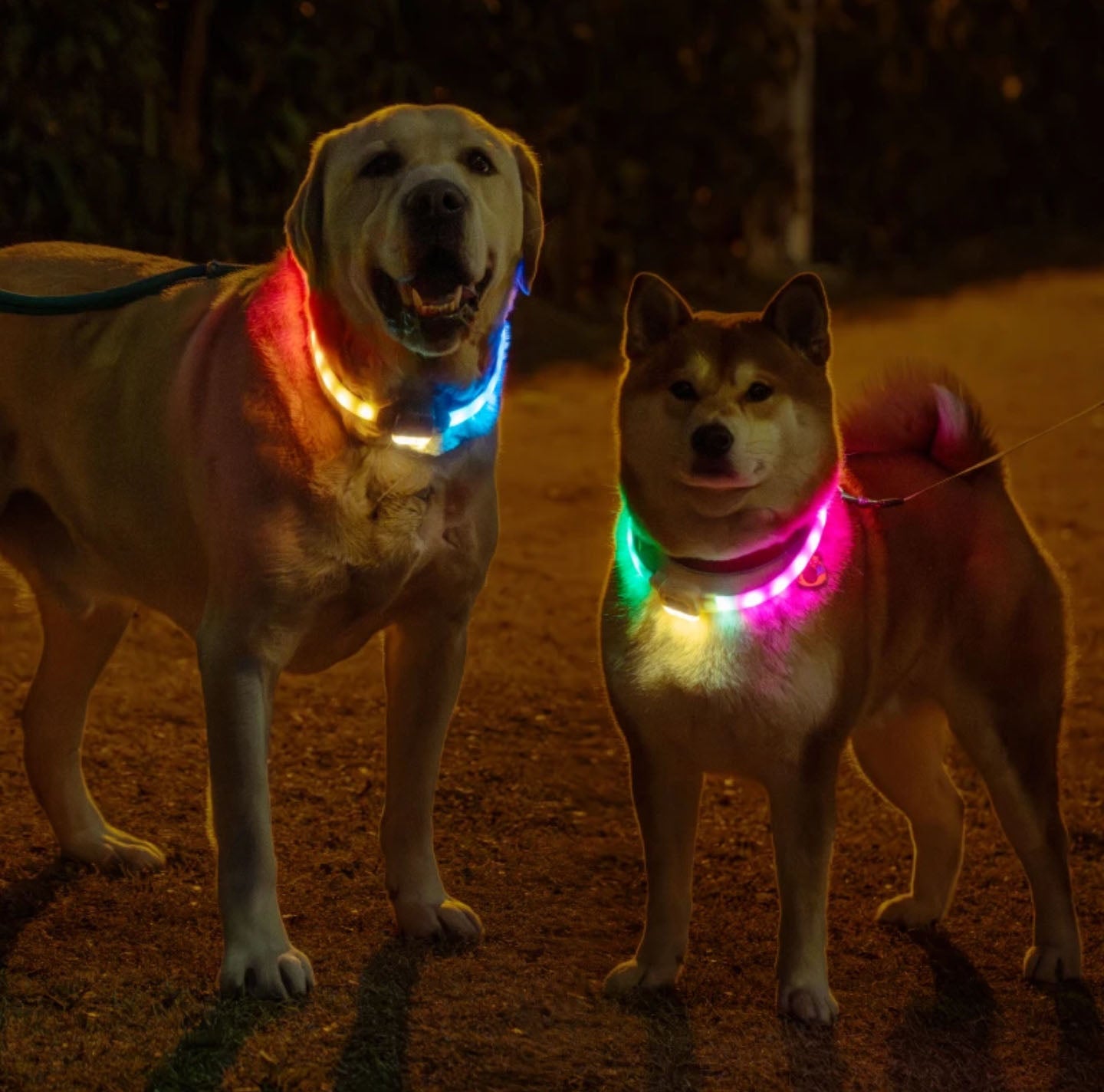 Rechargeable Light Up Dog Collars