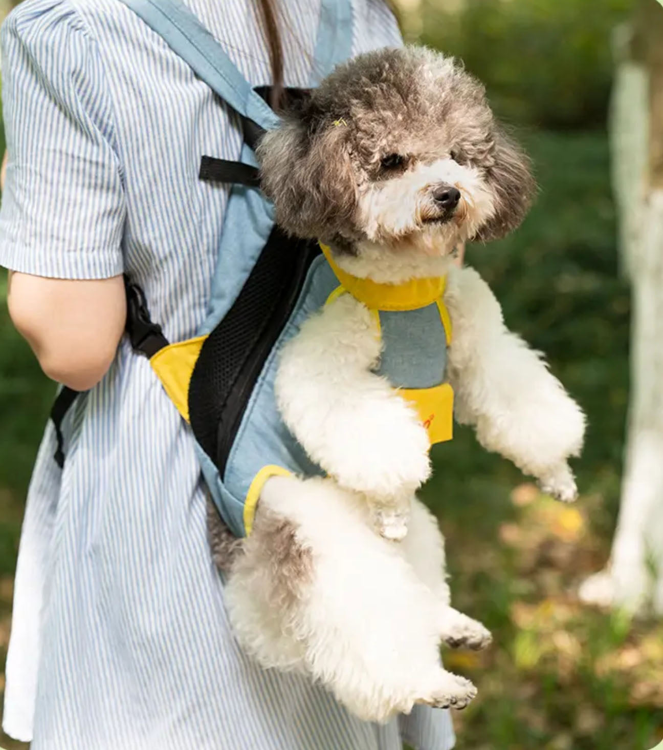 Legs Out Dog Cat Carrier Backpack