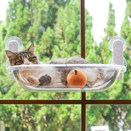 Space Capsule Transparent Cat Bed