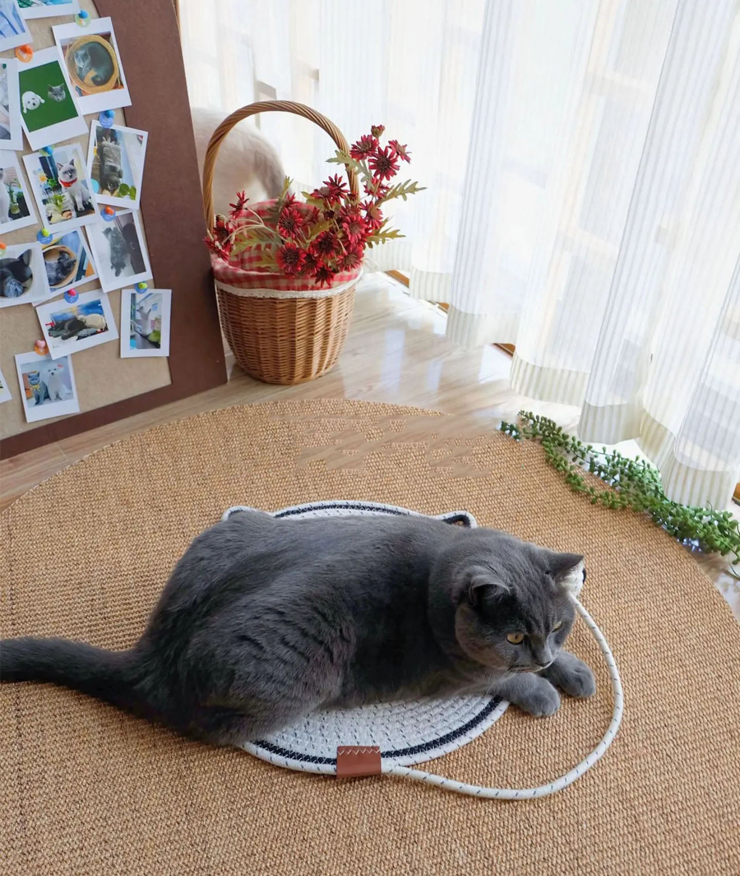 Cat Scratcher Mat