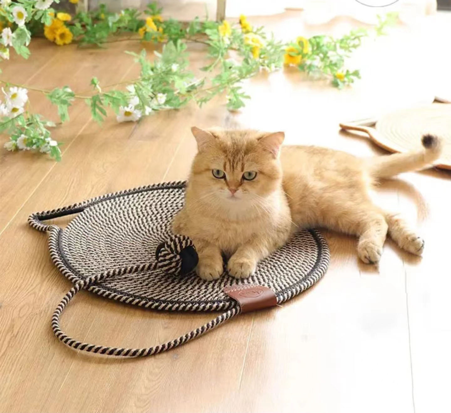 Cat Scratcher Mat