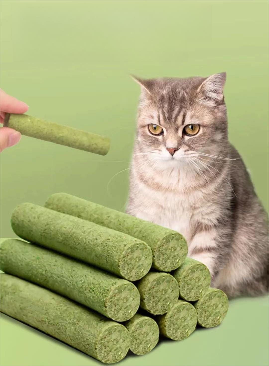 Catnip Stick Pet Treat