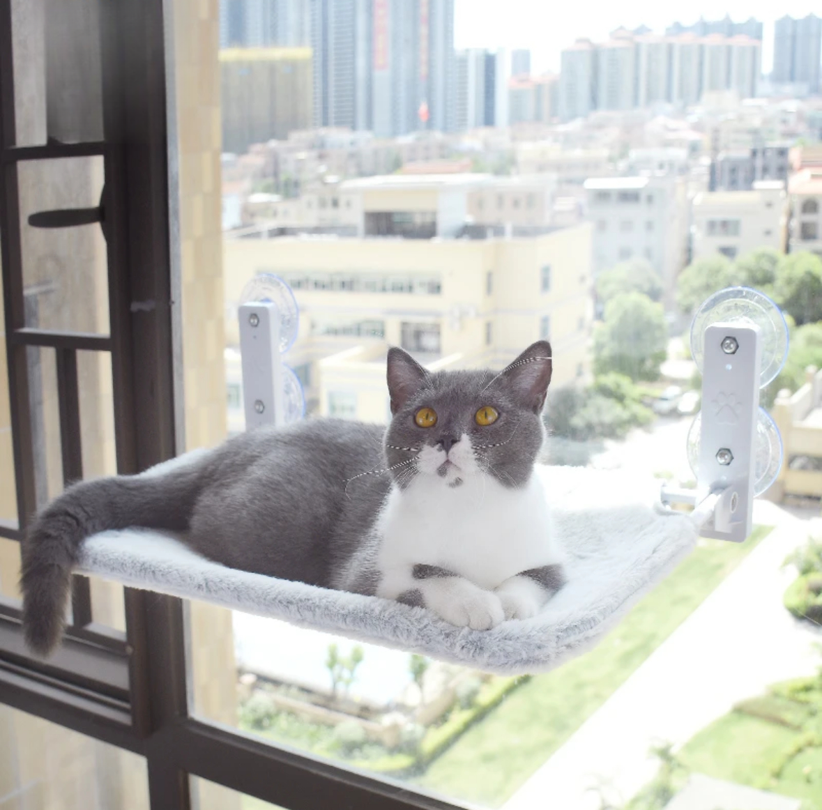 Cat Climbing Frame and Cat Bed