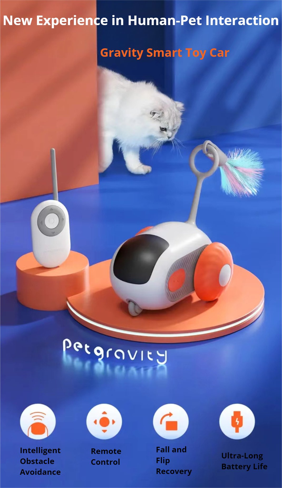 Pet Gravity Toy Car