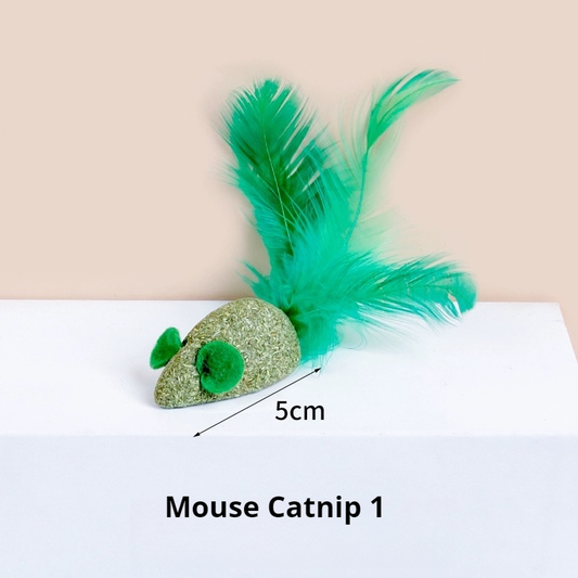 Catnip Toy