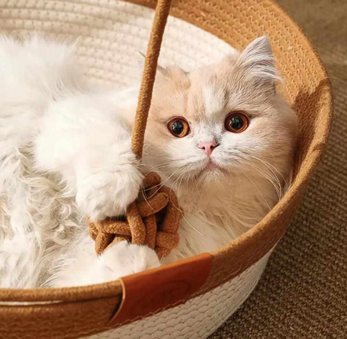 Handwoven Cotton Rope Cat Bed