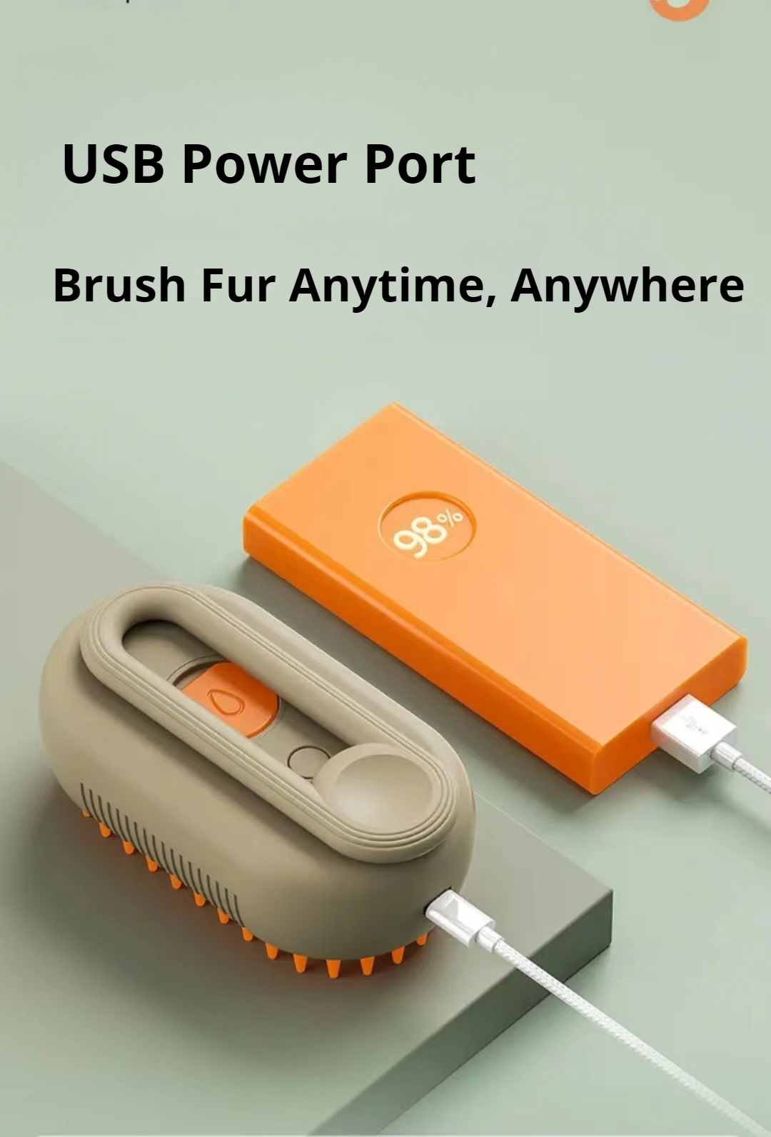 Pet Spray Massage Comb