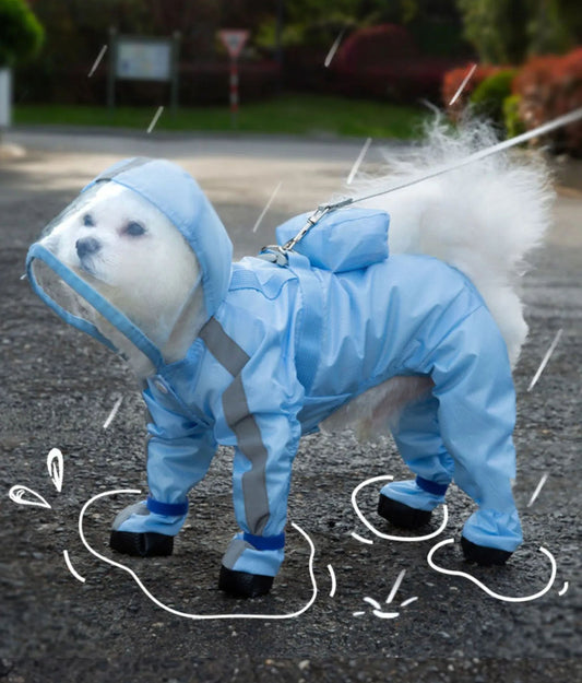 Dog Raincoat, Clear Hooded Raincoat