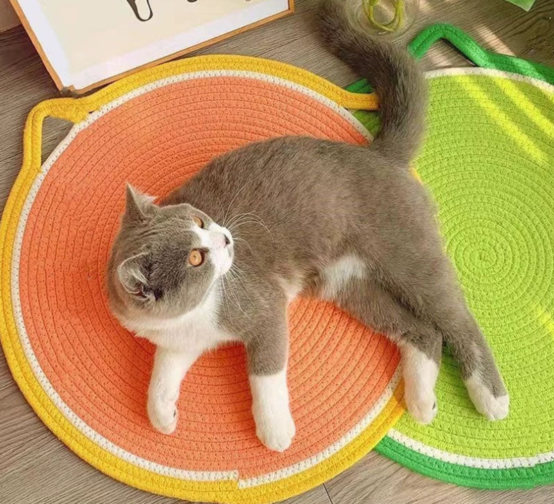 Cat Scratching Board