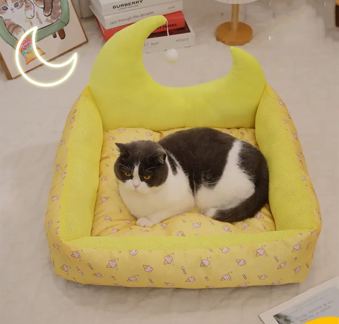 Cat Beds for Indoor Cats