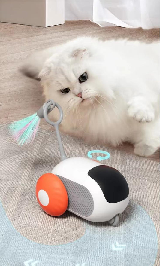 Pet Gravity Toy Car