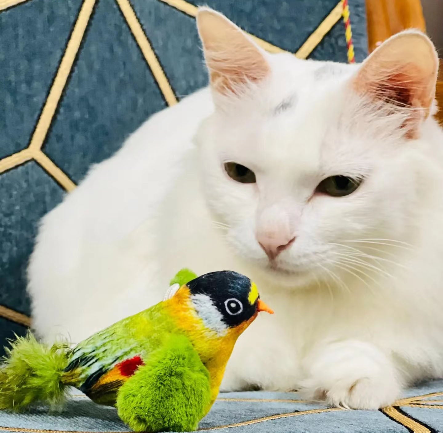 Interactive Cat Toy with Real Chirping Bird Electronic Sound Squeaky