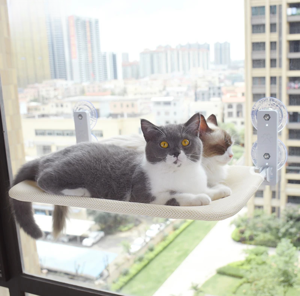 Cat Climbing Frame and Cat Bed