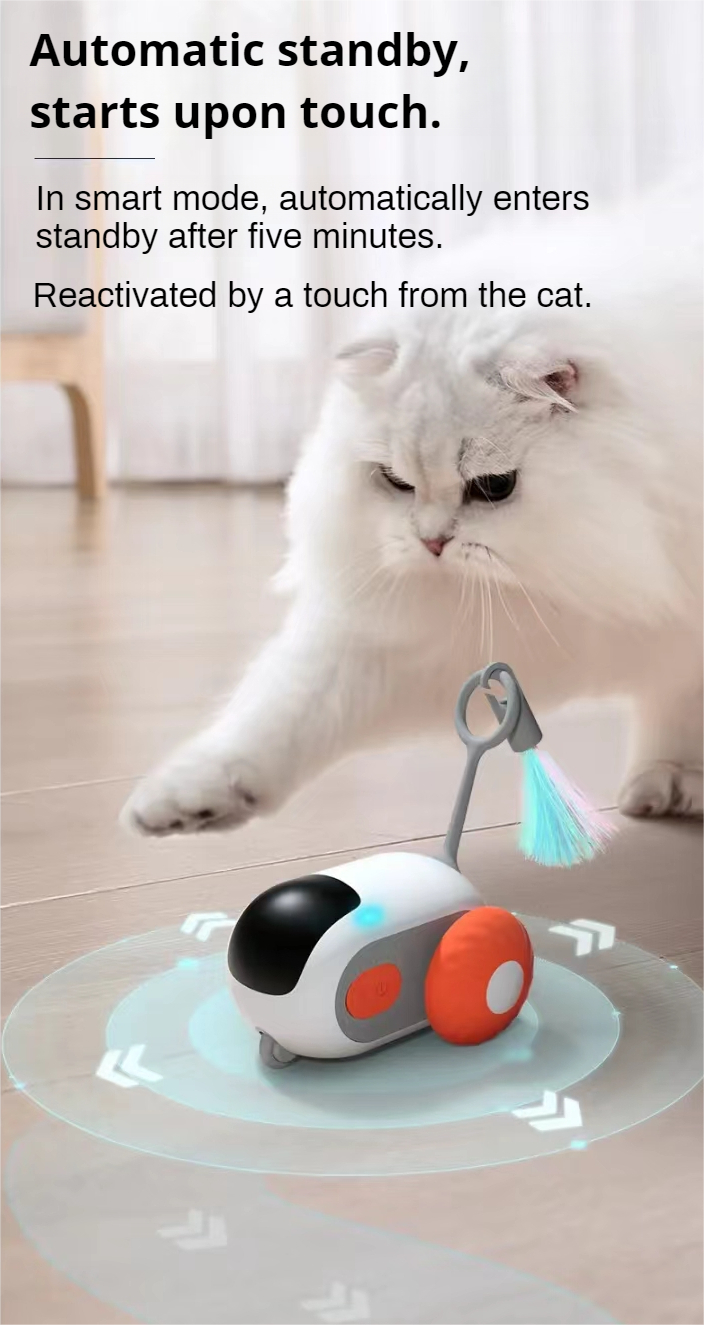 Pet Gravity Toy Car