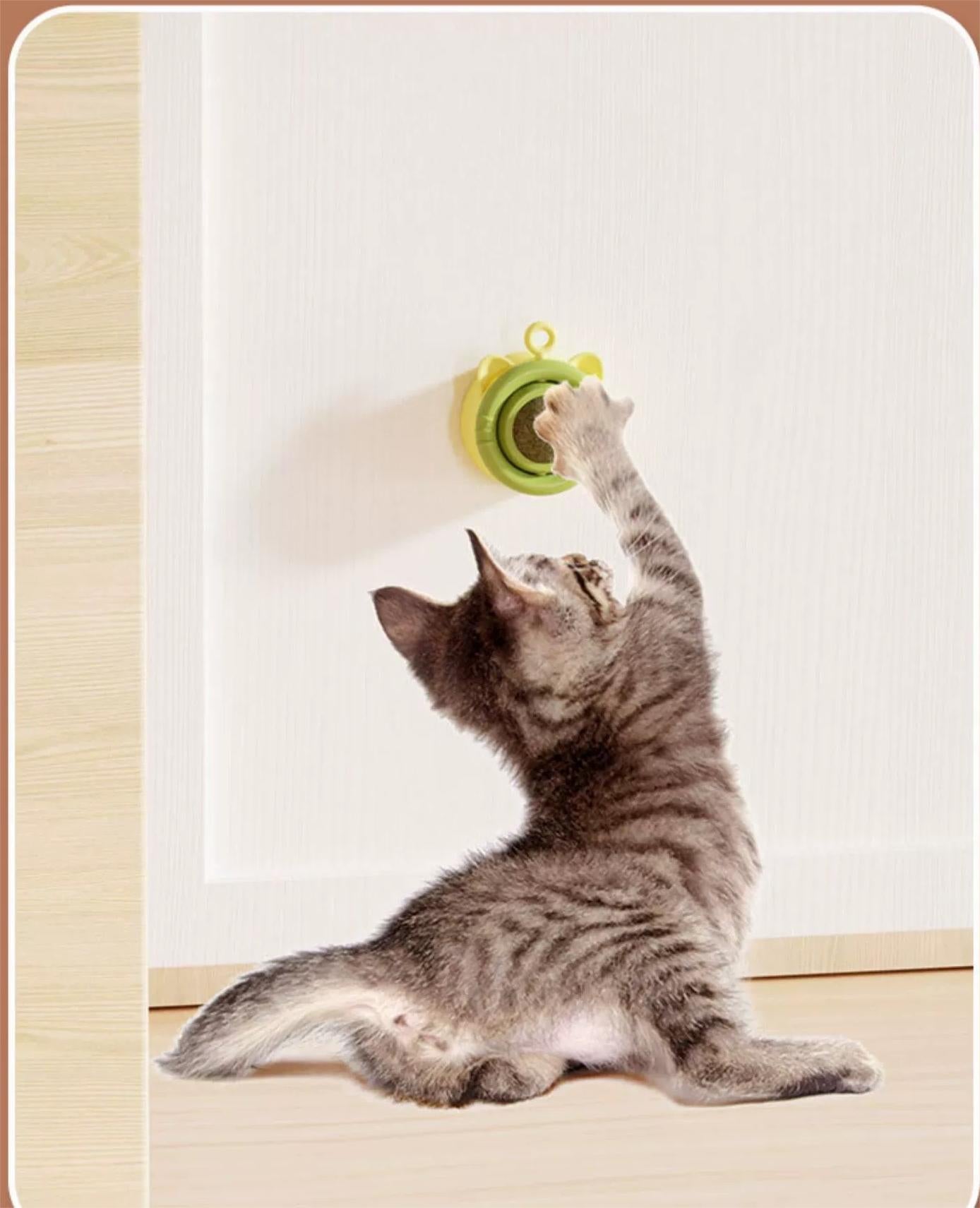 Catnip Fixable Ball