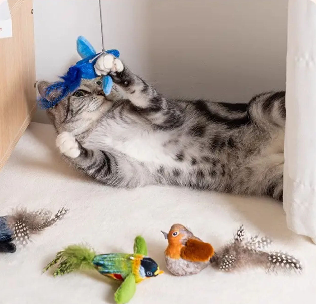 Interactive Cat Toy with Real Chirping Bird Electronic Sound Squeaky