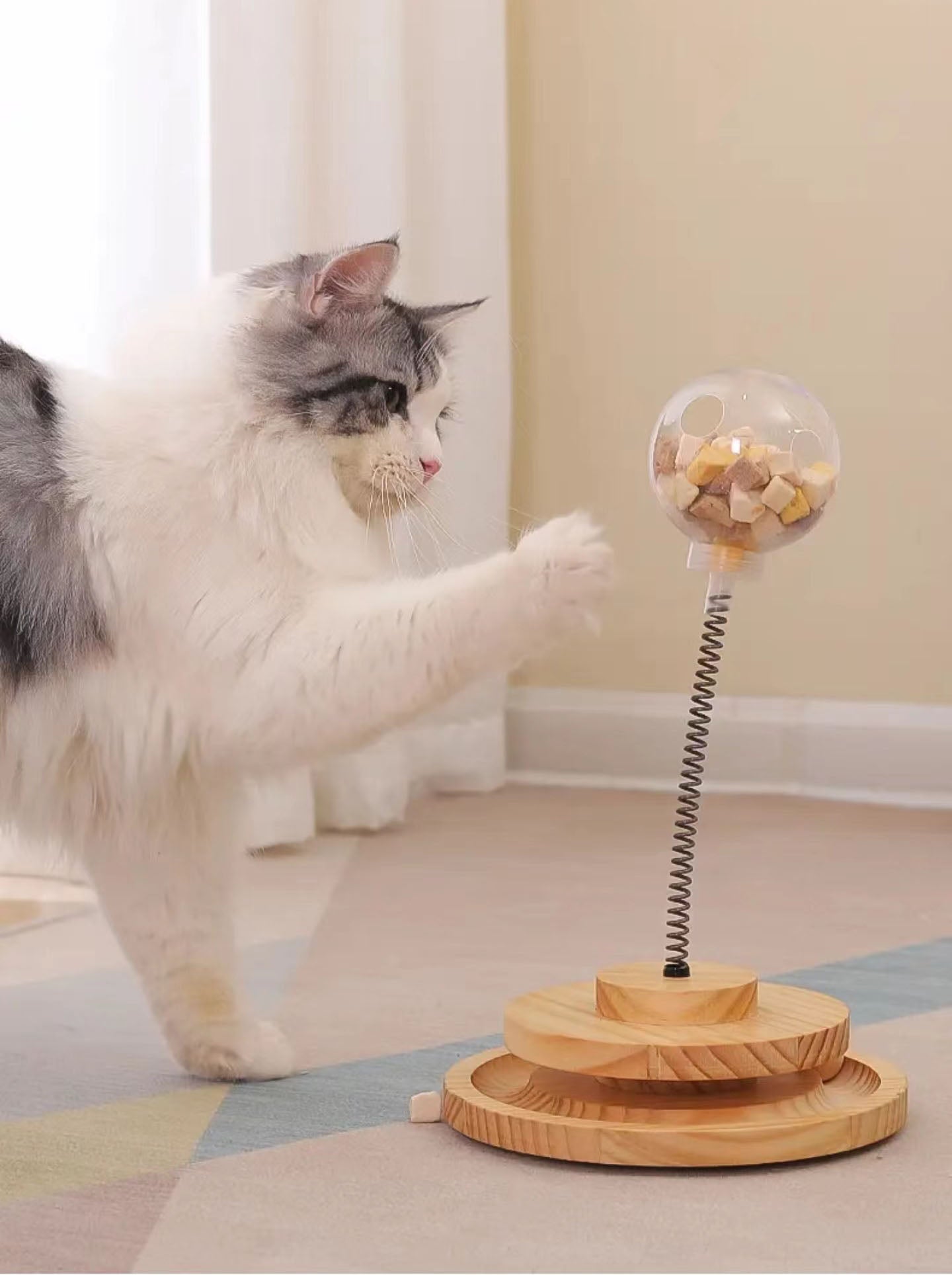 Cat Treat Dispenser Toy with Circle Ball Track