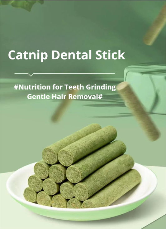 Catnip Stick Pet Treat