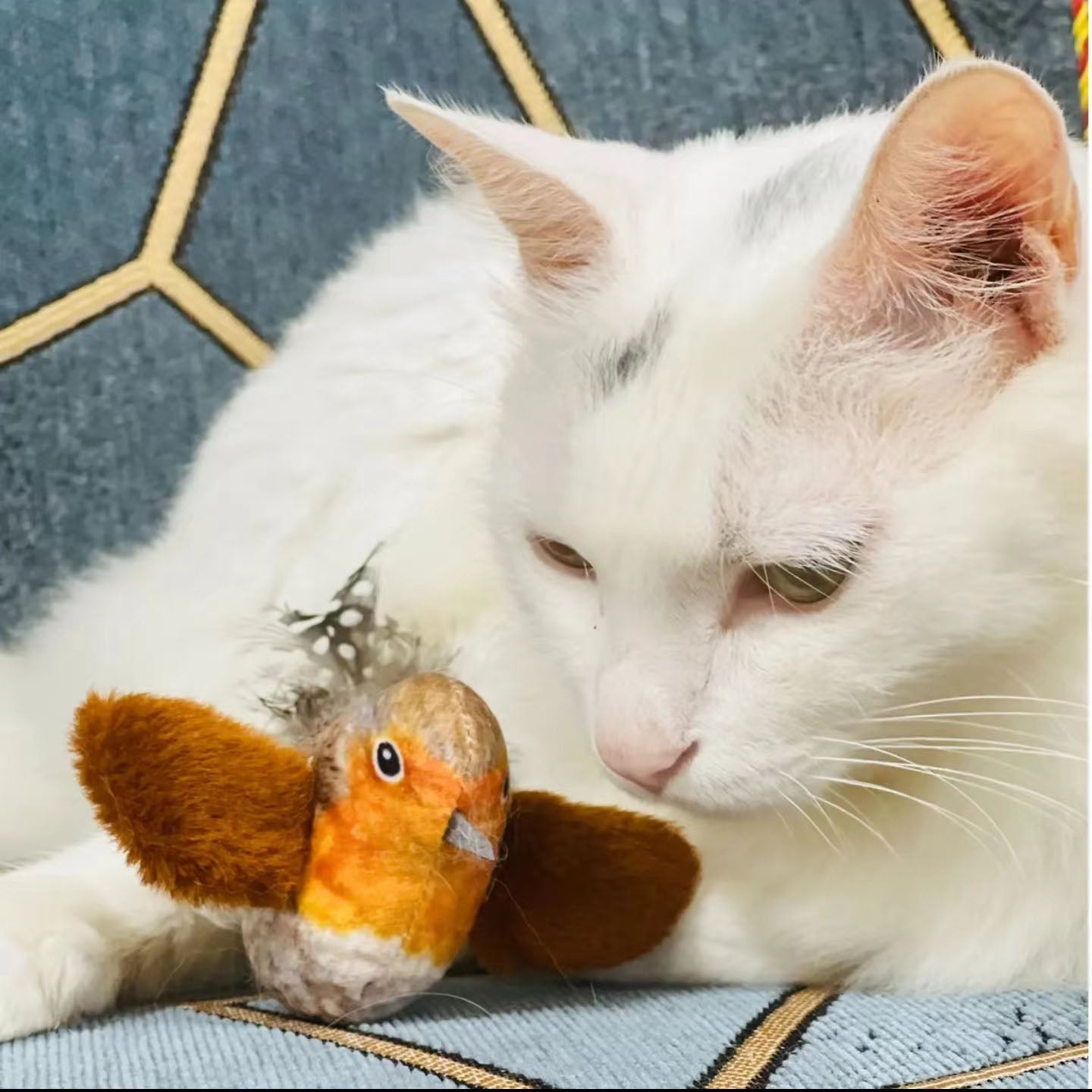 Interactive Cat Toy with Real Chirping Bird Electronic Sound Squeaky